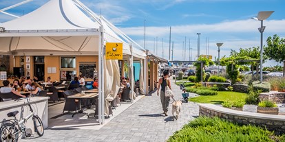 Yachthafen - Hunde erlaubt - Kroatien - Marina Punat