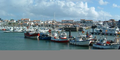 Yachthafen - am Meer - Frankreich - Quelle: http://portherbaudiere.free.fr/ - Port de l'Herbaudière