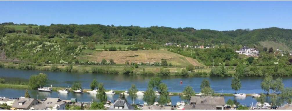 Marina - Sportbootgemeinschaft Brodenbach e. V. 