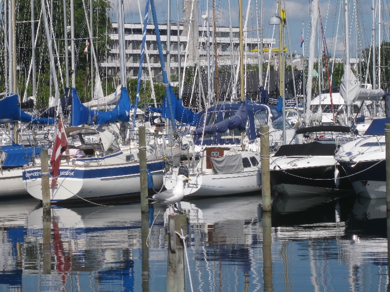 Marina - (c) http://www.vedbaek-havn.dk/ - Vedbaek