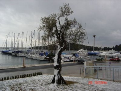 Marina - Marina Vrsar