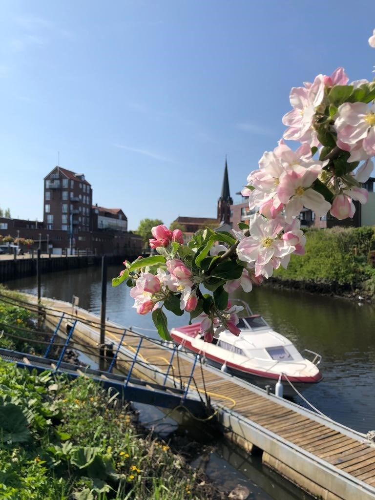 Marina: Innenstadtblick - City Sortboothafen Buxtehuder Wassersportverein Hansa e.V.