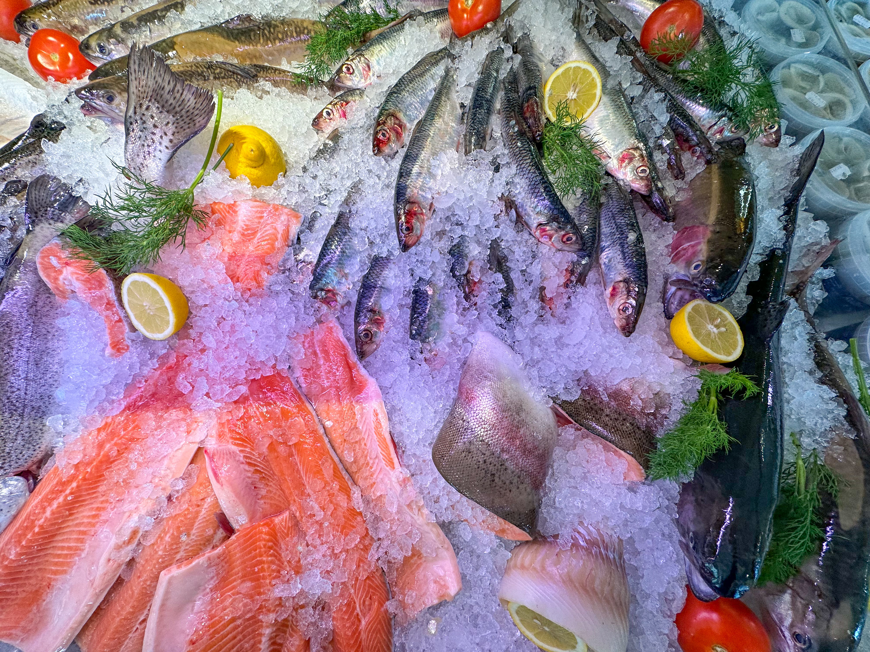 Yachthafen - Mecklenburg-Vorpommern - Fischverkauf und Räucherei im Hafen Rankwitz - Hafen Rankwitz