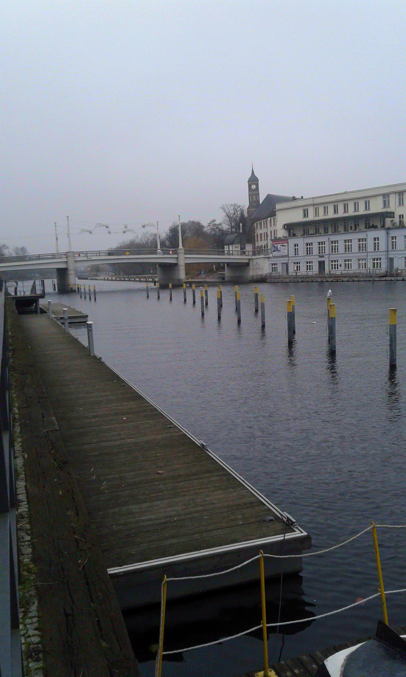 Yachthafen - Brandenburg - Blick auf die Jahrtausendbrücke - Wasserwanderrastplatz am Packhofufer/Werft