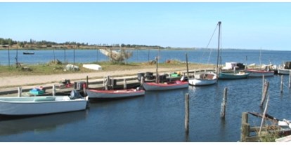 Yachthafen - am Meer - Dänemark - (c) http://havne.langelandkommune.dk/RistingeHavn - Ristinge Havn