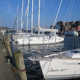 Marina: Segelsportfachgeschäft und Liegeplatzboxen direkt vor dem Laden. - YSE Hafen Eckernförde