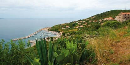 Yachthafen - Waschmaschine - Korsika  - Quelle: http://www.korsika.com/cargse/ - Cargese