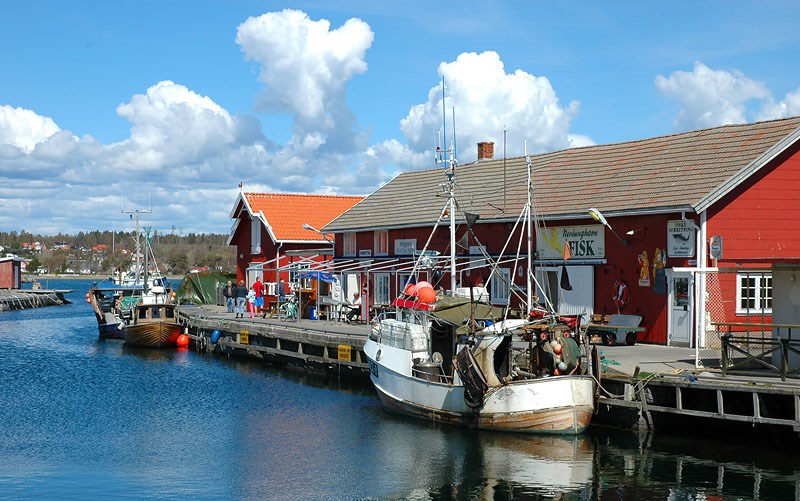 Stavern | Marina in Norwegen